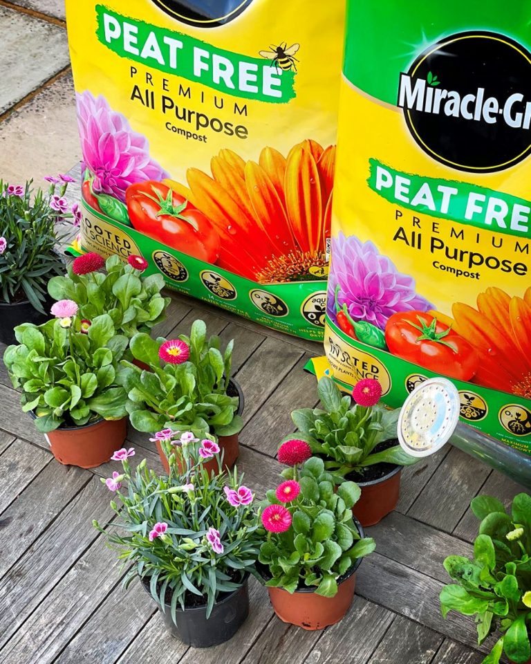 Increasing sales conversion amongst new & experienced gardeners for Miracle Gro