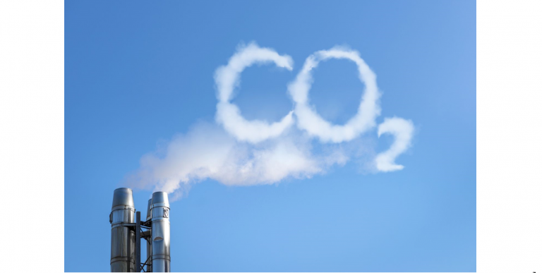Penti «Carbon Reduction» Kampanyası, Adform & Scope3